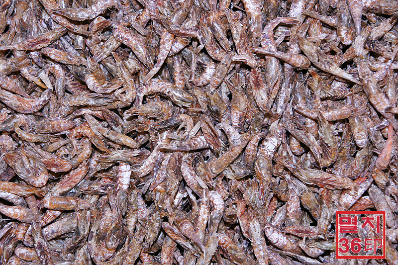 남해안산 보리새우900g 상자