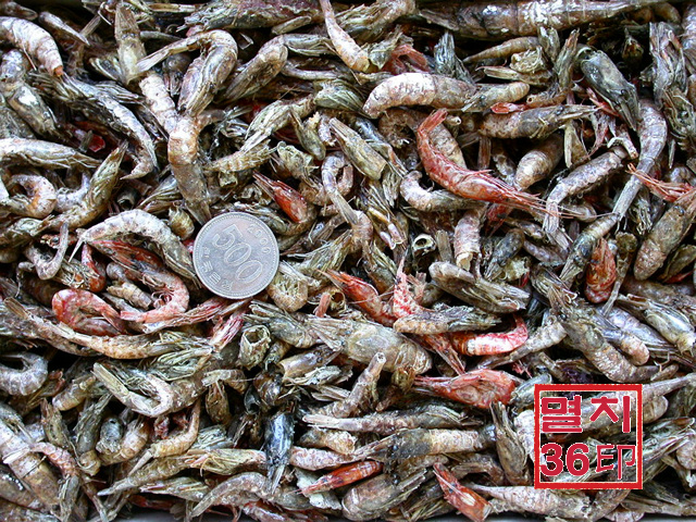 남해안산 보리새우900g 상자