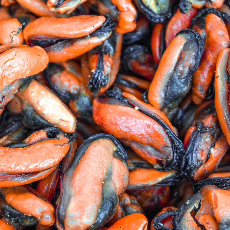 국내산 굵고 좋은 건홍합(굵은알) 500g (타우린이 듬뿍!!)