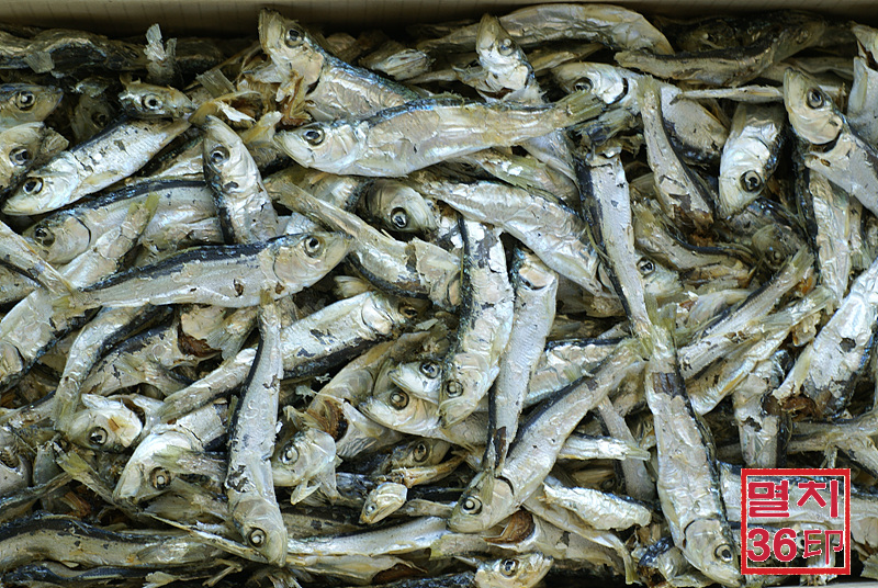 국물용 솔치(청어새끼) 1.5Kg 상자