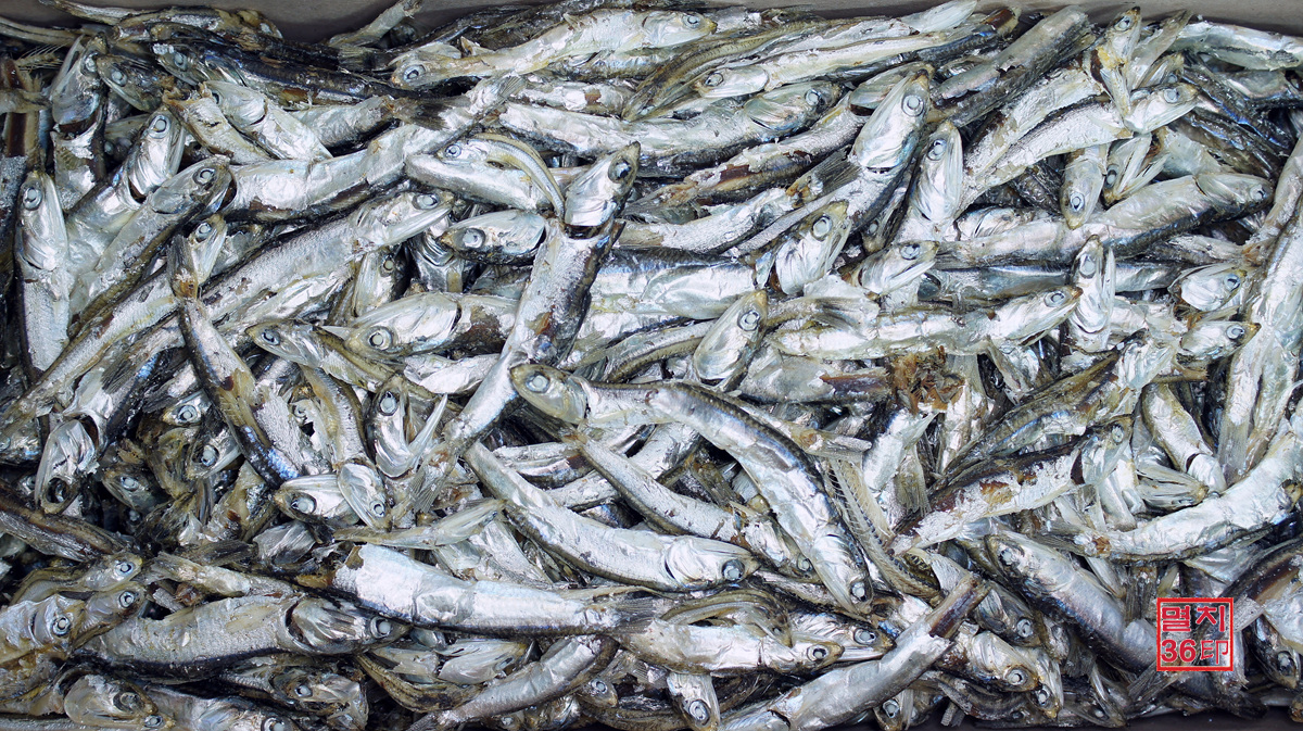 맑고진한 국물요리용,국물용멸치 8090-13호,국멸치 상자