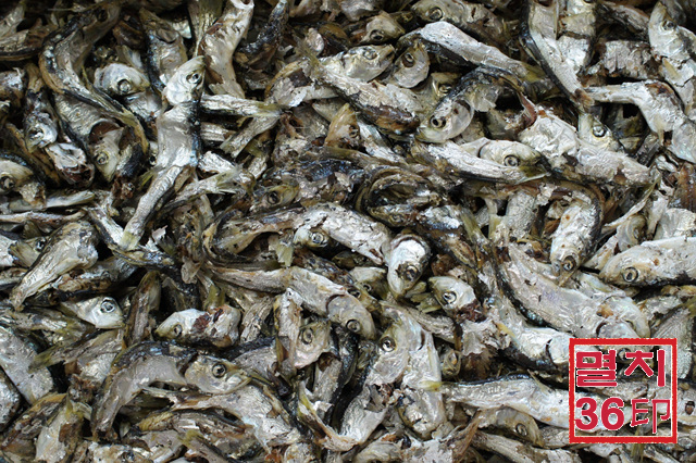 업소용급 국물용 솔치(청어새끼) 1.5Kg 상자