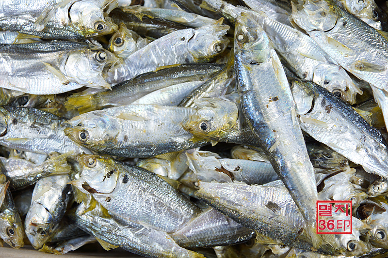 국내산 마른전어(밴댕이과 국물용)1.5Kg 상자